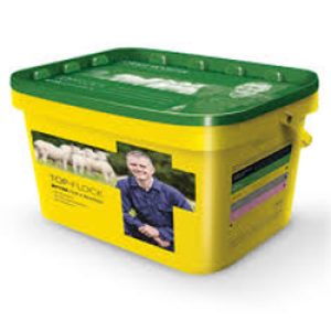 Forage Booster – 20kg Bucket
