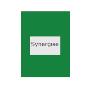 Synergise
